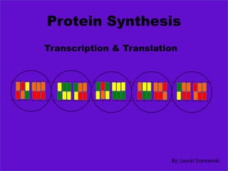 Protein Synthesis
Transcription & Translation




                         By: Laurel Szymanski
 