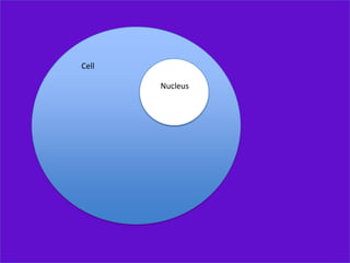 Cell

       Nucleus
 