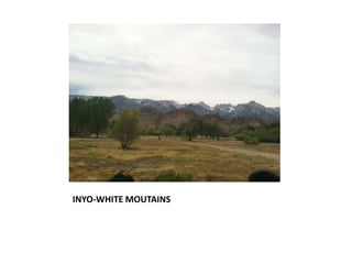 INYO-WHITE MOUTAINS
 