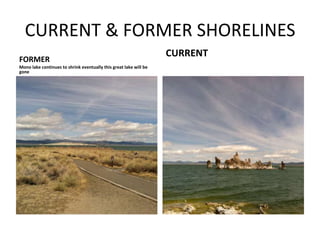CURRENT & FORMER SHORELINES
FORMER
Mono lake continues to shrink eventually this great lake will be
gone
CURRENT
 