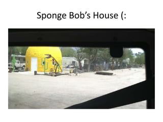 Sponge Bob’s House (:
 