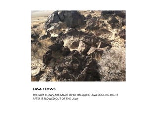 LAVA FLOWS
THE LAVA FLOWS ARE MADE UP OF BALSALTIC LAVA COOLING RIGHT
AFTER IT FLOWED OUT OF THE LAVA
 