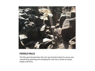 FOSSILS FALLS
The falls were formed when the river was forced to divert its course over
a basalt flow, polishing and reshaping the rock into a variety of unique
shapes and forms.
 