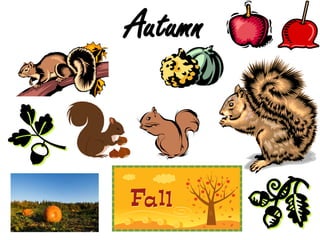 Autumn

 