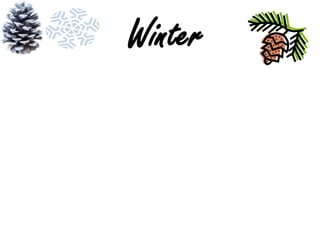 Winter

 