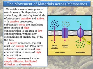 The Movement of Materials across Membranes 
-Materials move across plasma 
membranes of both prokaryotic 
and eukaryotic cells by two kinds 
of processes: passive and active. 
- In passive processes, 
substances cross the membrane 
from an area of high 
concentration to an area of low 
concentration, without any 
expenditure of energy (ATP) by 
the cell. 
- In active processes, the cell 
must use energy (ATP) to move 
substances from areas of low 
concentration to areas of high 
concentration. 
- Passive processes include 
simple diffusion, facilitated 
diffusion, and osmosis. 
 