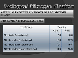 Treatments Yield / g
Oats Peas
No nitrate & sterile soil 0.6 0.8
Nitrate added & sterile soil 12.0 12.9
No nitrate & non-sterile soil 0.7 16.4
Nitrate added & non-sterile soil 11.6 15.3
 