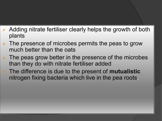  Adding nitrate fertiliser clearly helps the growth of both
plants
 The presence of microbes permits the peas to grow
much better than the oats
 The peas grow better in the presence of the microbes
than they do with nitrate fertiliser added
 The difference is due to the present of mutualistic
nitrogen fixing bacteria which live in the pea roots.
 