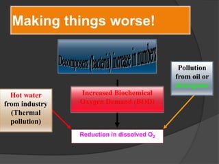Increased Biochemical
Oxygen Demand (BOD)
Hot water
from industry
(Thermal
pollution)
Pollution
from oil or
detergents
Reduction in dissolved O2
Making things worse!
 