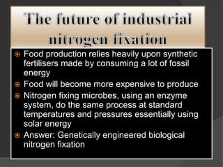  Food production relies heavily upon synthetic
fertilisers made by consuming a lot of fossil
energy
 Food will become more expensive to produce
 Nitrogen fixing microbes, using an enzyme
system, do the same process at standard
temperatures and pressures essentially using
solar energy
 Answer: Genetically engineered biological
nitrogen fixation
 