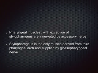 Pharyngeal muscles , with exception of
stylopharngeus are innervated by accessory nerve
Stylopharngeus is the only muscle derived from third
pharyngeal arch and supplied by glossopharyngeal
nerve
 