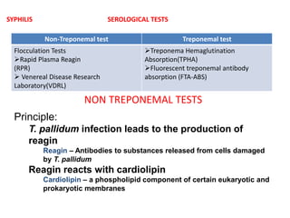 Non-Treponemal test Treponemal test
Flocculation Tests
Rapid Plasma Reagin
(RPR)
 Venereal Disease Research
Laboratory(VDRL)
Treponema Hemaglutination
Absorption(TPHA)
Fluorescent treponemal antibody
absorption (FTA-ABS)
NON TREPONEMAL TESTS
Principle:
T. pallidum infection leads to the production of
reagin
Reagin – Antibodies to substances released from cells damaged
by T. pallidum
Reagin reacts with cardiolipin
Cardiolipin – a phospholipid component of certain eukaryotic and
prokaryotic membranes
SEROLOGICAL TESTSSYPHILIS
 