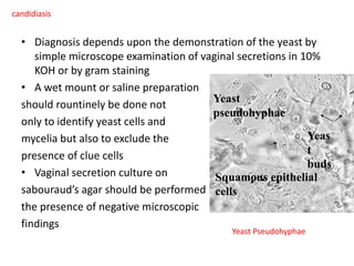 • Diagnosis depends upon the demonstration of the yeast by
simple microscope examination of vaginal secretions in 10%
KOH or by gram staining
• A wet mount or saline preparation
should rountinely be done not
only to identify yeast cells and
mycelia but also to exclude the
presence of clue cells
• Vaginal secretion culture on
sabouraud’s agar should be performed in
the presence of negative microscopic
findings
candidiasis
Yeast
pseudohyphae
Squamous epithelial
cells
Yeas
t
buds
Yeast Pseudohyphae
 