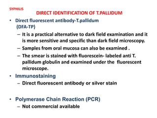 DIRECT IDENTIFICATION OF T.PALLIDUM
• Direct fluorescent antibody-T.pallidum
(DFA-TP)
– It is a practical alternative to dark field examination and it
is more sensitive and specific than dark field microscopy.
– Samples from oral mucosa can also be examined .
– The smear is stained with fluorescein- labeled anti T.
pallidum globulin and examined under the fluorescent
microscope.
• Immunostaining
– Direct fluorescent antibody or silver stain
• Polymerase Chain Reaction (PCR)
– Not commercial available
SYPHILIS
 