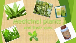 medicinal plants preparation and uses | PPSX