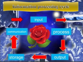 input
process
outputstorage
communication