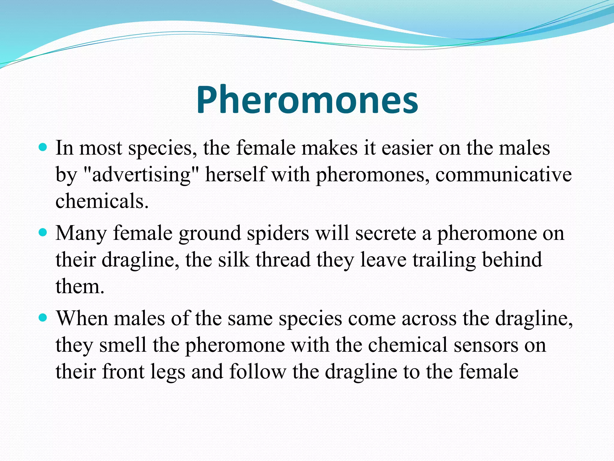 Pheromones
 In most species, the female makes it easier on the males
by "advertising" herself with pheromones, communicative
chemicals.
 Many female ground spiders will secrete a pheromone on
their dragline, the silk thread they leave trailing behind
them.
 When males of the same species come across the dragline,
they smell the pheromone with the chemical sensors on
their front legs and follow the dragline to the female
 