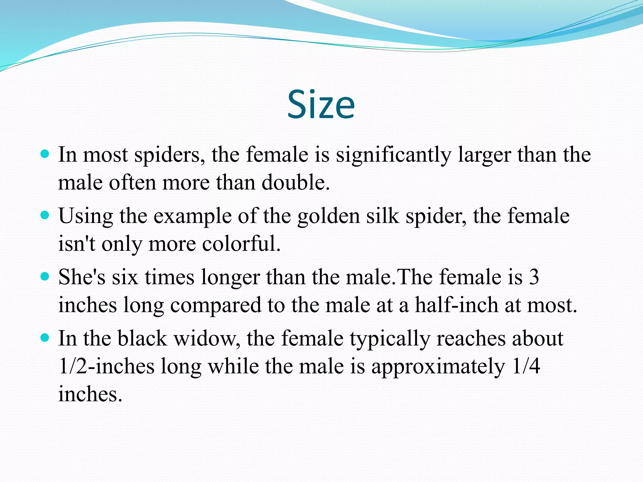 Size
 In most spiders, the female is significantly larger than the
male often more than double.
 Using the example of the golden silk spider, the female
isn't only more colorful.
 She's six times longer than the male.The female is 3
inches long compared to the male at a half-inch at most.
 In the black widow, the female typically reaches about
1/2-inches long while the male is approximately 1/4
inches.
 