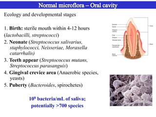 Microflora Examples Normal Microflora of Human body | PPTX