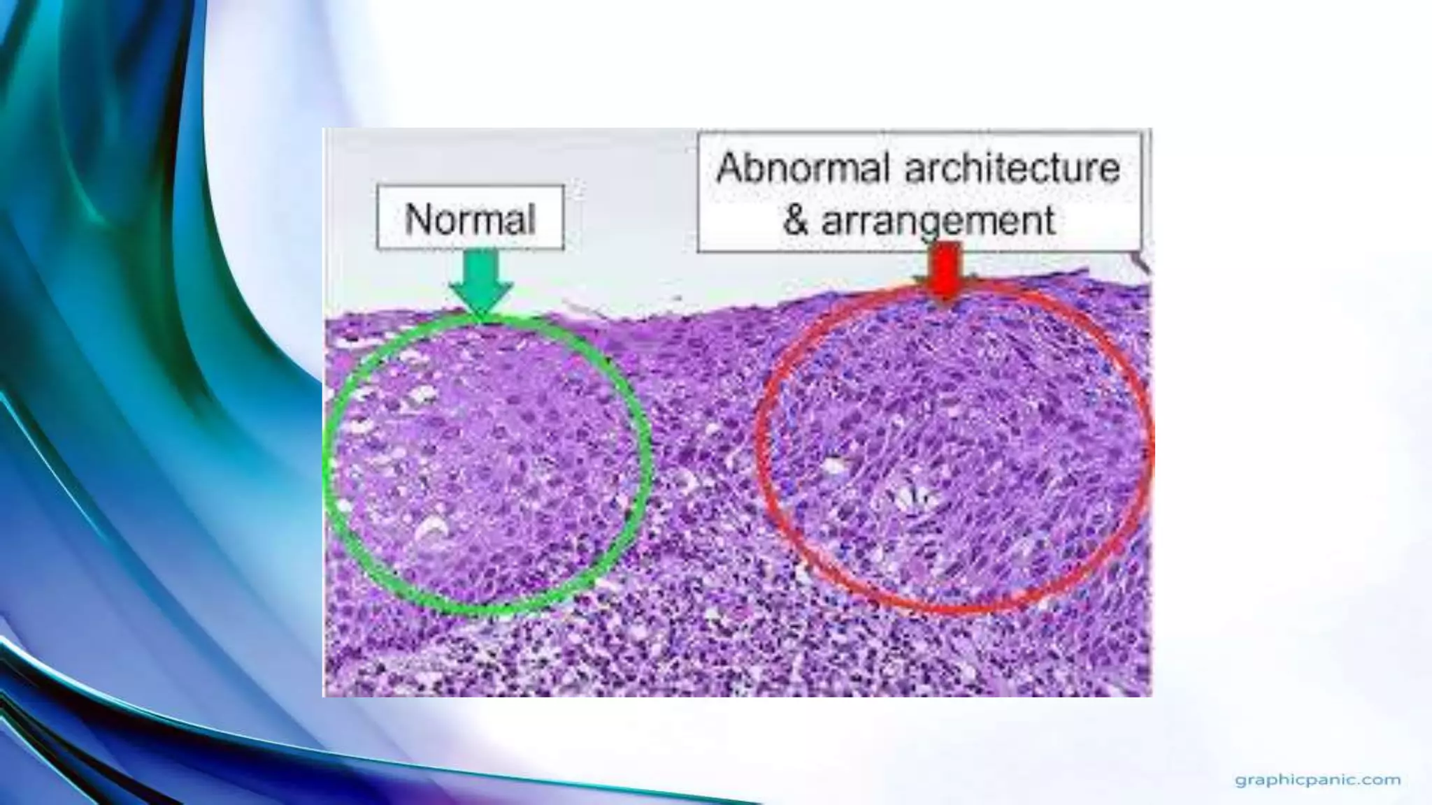 Fish pathology | PPTX
