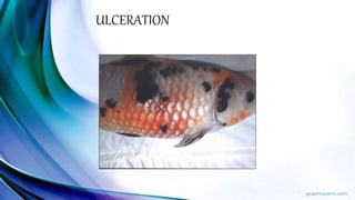 ULCERATION
 