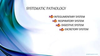 SYSTEMATIC PATHOLOGY
INTEGUMENTARY SYSTEM
RESPIRATORY SYSTEM
DIGESTIVE SYSTEM
EXCRETORY SYSTEM
 