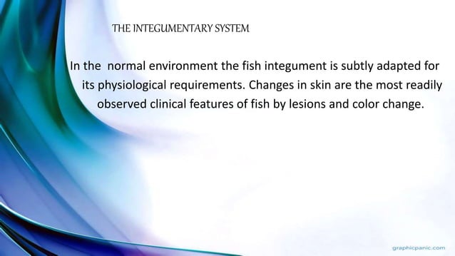 Fish pathology | PPTX | Skin and Dermatology | Diseases and Conditions