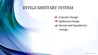 INTEGUMENTARY SYSTEM
Cuticular change
Epidermal change
Dermal and hypodermal
change
 