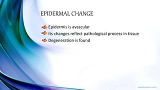EPIDERMAL CHANGE
Epidermis is avascular
Its changes reflect pathological process in tissue
Degeneration is found
 