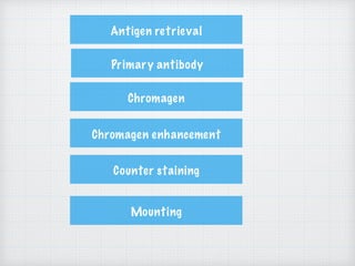 Antigen retrieval
Primary antibody
Chromagen
Chromagen enhancement
Counter staining
Mounting
 
