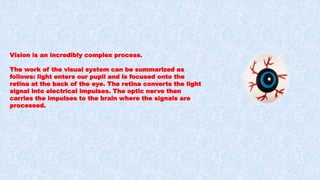 Human Eye | PPTX