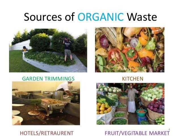 Organic Food Garden Organic Food Garden