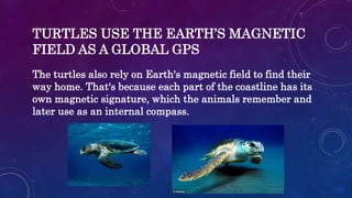 EARTH MAGNETIC FIELD | PPTX