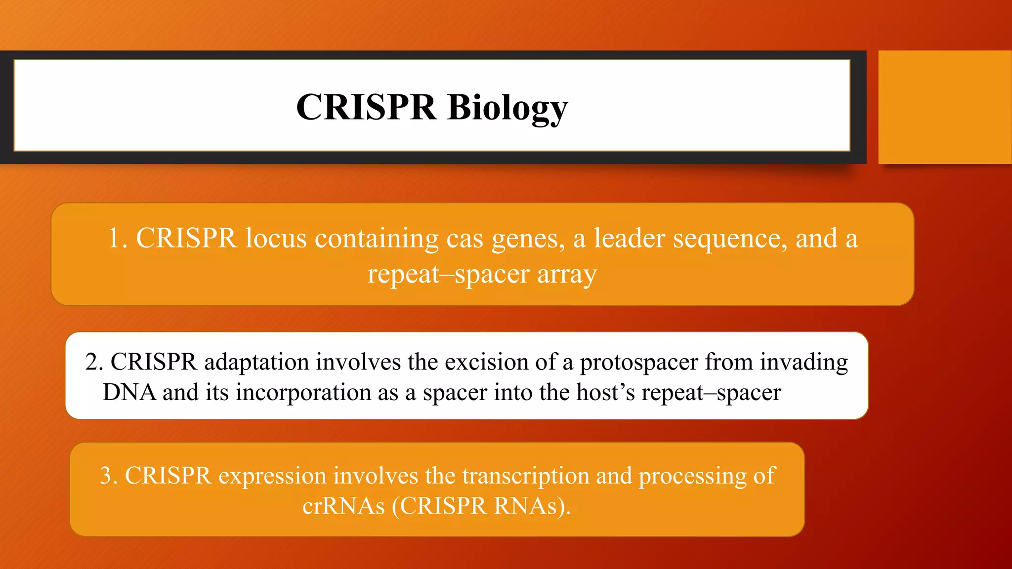 CRISPR Biology
1. CRISPR locus containing cas genes, a leader sequence, and a
repeat–spacer array
2. CRISPR adaptation involves the excision of a protospacer from invading
DNA and its incorporation as a spacer into the host’s repeat–spacer array
3. CRISPR expression involves the transcription and processing of
crRNAs (CRISPR RNAs).