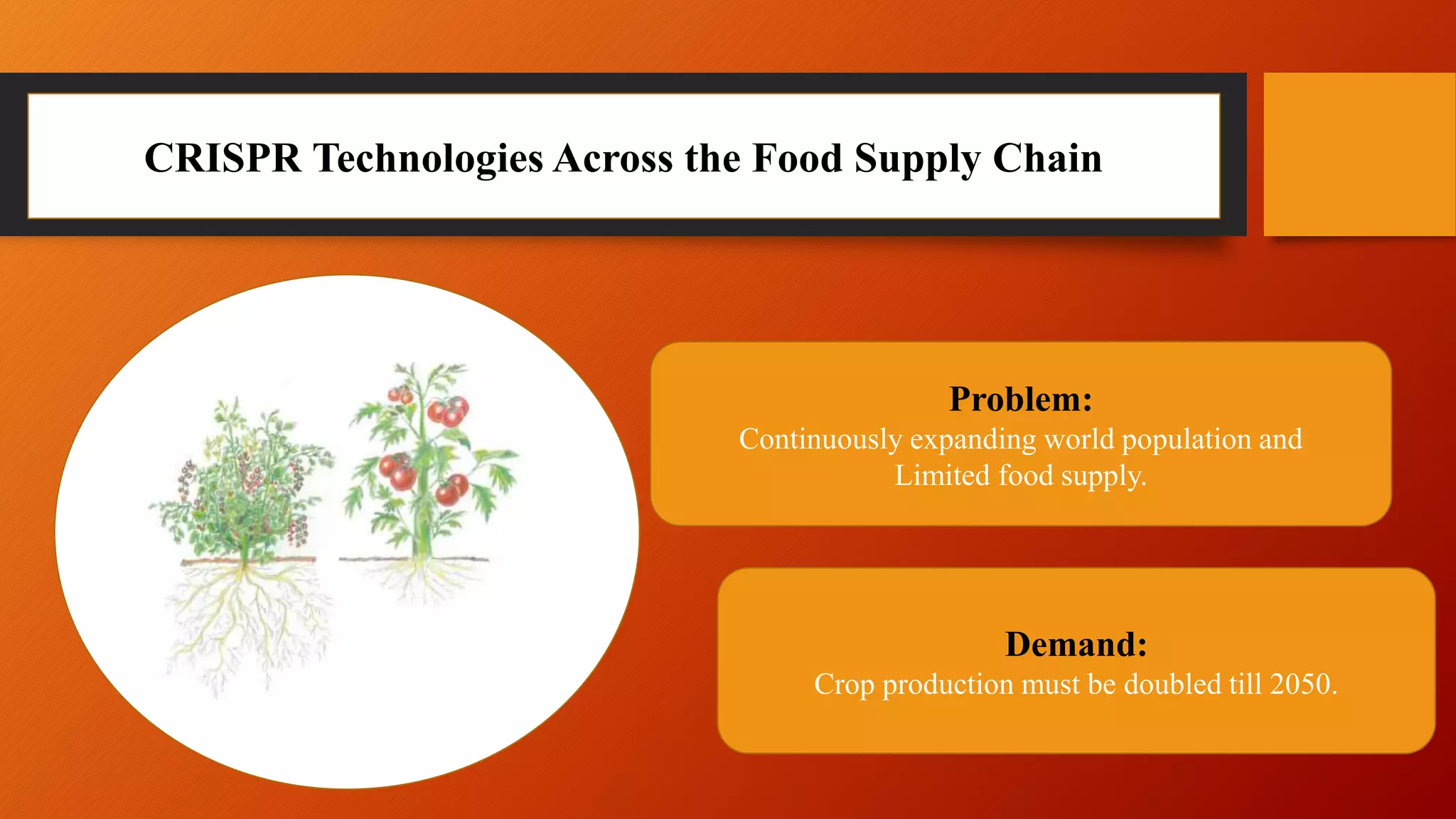 CRISPR Technologies Across the Food Supply Chain
Problem:
Continuously expanding world population and
Limited food supply.
Demand:
Crop production must be doubled till 2050.