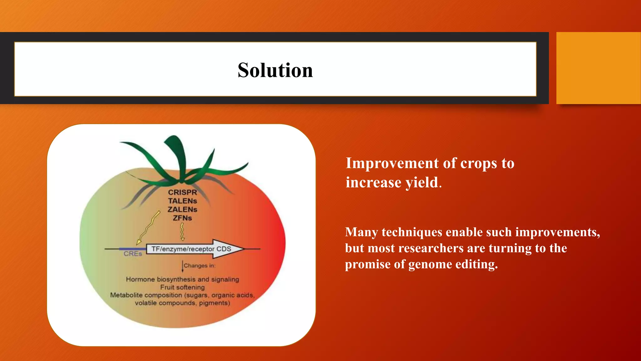 Solution
Improvement of crops to
increase yield.
Many techniques enable such improvements,
but most researchers are turning to the
promise of genome editing.