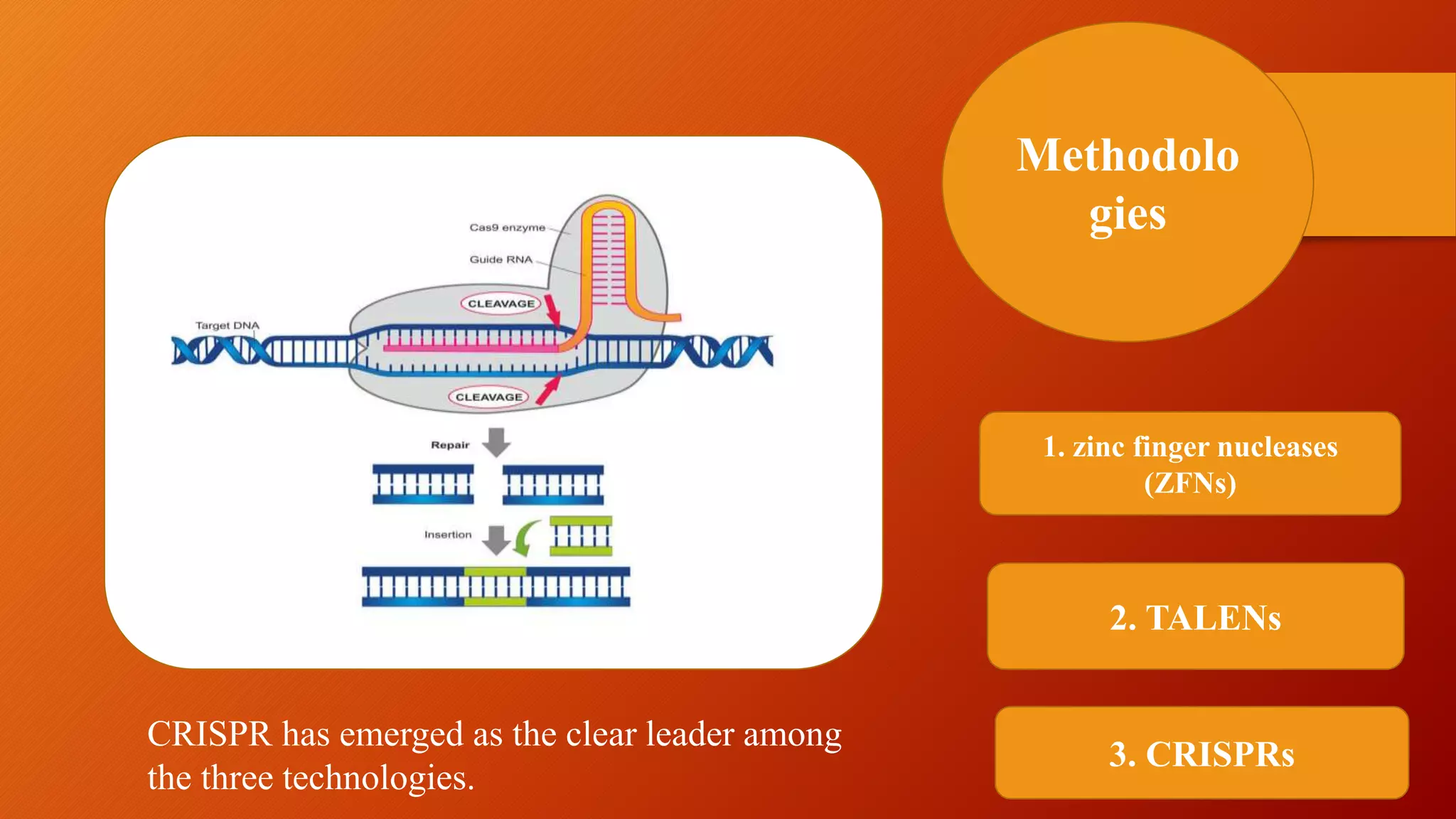 Methodolo
gies
1. zinc finger nucleases
(ZFNs)
2. TALENs
3. CRISPRs
CRISPR has emerged as the clear leader among
the three technologies.