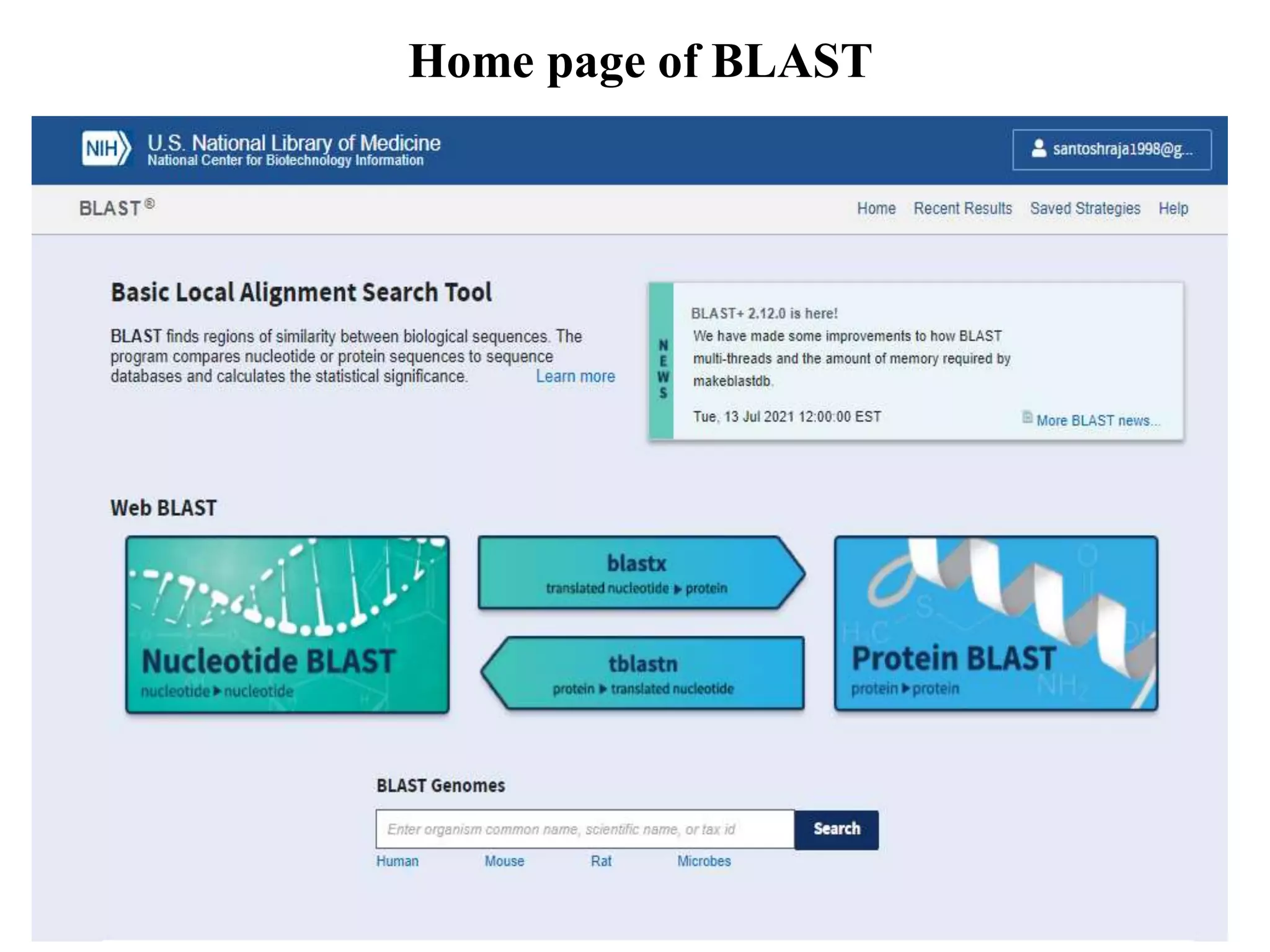 Home page of BLAST
 