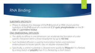 RNA Binding:
SUBSTRATE SPECIFICITY
 RNase A catalyzes the cleavage of the P-O bond of an RNA strand and the
hydrolysis of the P-O bond of a nucleoside 2',3'-cyclic phosphodiester on the 3'-
side of a pyrimidine residue
ONE-DIMENSIONAL DIFFUSION
 The ability to diffuse in one dimension can accelerate the formation of a site-
specific interaction within a linear biopolymer by up to 103 fold.
 Such facilitated diffusion is used by transcription factors and restriction
endonucleases to locate specific sites on double-stranded DNA
 Specifically, a uridine nucleotide is cleaved more quickly by RNase A if it is flanked
by a long stretch of poly(dA) than if it is flanked by a short stretch
11
 