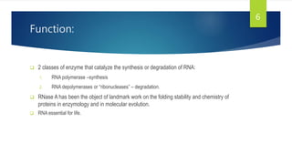Function:
 2 classes of enzyme that catalyze the synthesis or degradation of RNA:
1. RNA polymerase –synthesis
2. RNA depolymerases or “ribonucleases” – degradation.
 RNase A has been the object of landmark work on the folding stability and chemistry of
proteins in enzymology and in molecular evolution.
 RNA essential for life.
6
 
