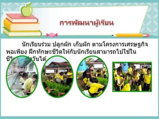 นักเรียนร่วม ปลูกผัก เก็บผัก ตามโครงการเศรษฐกิจ
พอเพียง ฝึกทักษะชีวิตให ้กับนักเรียนสามารถไปใช ้ใน
ชีวิตประจาวันได ้
 