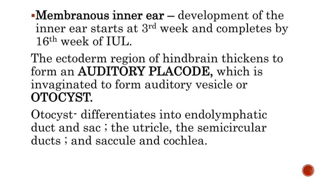 Embryology and anatomy of external ear | PPTX | Ear, Nose and Throat ...