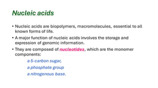 Nucleic acids
• Nucleic acids are biopolymers, macromolecules, essential to all
known forms of life.
• A major function of nucleic acids involves the storage and
expression of genomic information.
• They are composed of nucleotides, which are the monomer
components:
a 5-carbon sugar,
a phosphate group
a nitrogenous base.
 