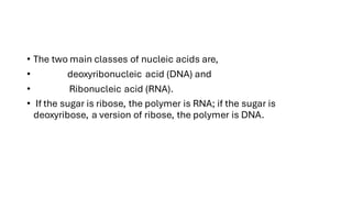 • The two main classes of nucleic acids are,
• deoxyribonucleic acid (DNA) and
• Ribonucleic acid (RNA).
• If the sugar is ribose, the polymer is RNA; if the sugar is
deoxyribose, a version of ribose, the polymer is DNA.
 