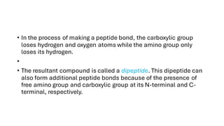 • In the process of making a peptide bond, the carboxylic group
loses hydrogen and oxygen atoms while the amino group only
loses its hydrogen.
•
• The resultant compound is called a dipeptide. This dipeptide can
also form additional peptide bonds because of the presence of
free amino group and carboxylic group at its N-terminal and C-
terminal, respectively.
 