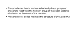 • Phosphodiester bonds are formed when hydroxyl groups of
phosphate react with the hydroxyl group of the sugar. Water is
eliminated as the result of the reaction.
• Phosphodiester bonds maintain the structure of DNA and RNA
 