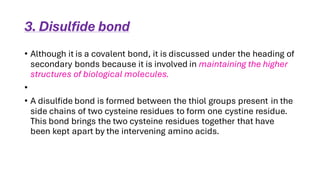3. Disulfide bond
• Although it is a covalent bond, it is discussed under the heading of
secondary bonds because it is involved in maintaining the higher
structures of biological molecules.
•
• A disulfide bond is formed between the thiol groups present in the
side chains of two cysteine residues to form one cystine residue.
This bond brings the two cysteine residues together that have
been kept apart by the intervening amino acids.
 