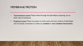 MEMBRANE PROTEIN
1. Transmembrane protein:These extend through the lipid bilayer projecting out on
either side of membrane
2. Peripheral protein:These are present on both outer and inner surfaces of lipid bilayer
and are loosely connected to it either by covalent or non covalent interactions.
 