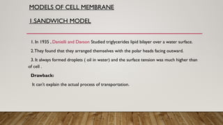 MODELS OF CELL MEMBRANE
1.SANDWICH MODEL
1. In 1935 , Danielli and Davson Studied triglycerides lipid bilayer over a water surface.
2.They found that they arranged themselves with the polar heads facing outward.
3. It always formed droplets ( oil in water) and the surface tension was much higher than
of cell .
Drawback:
It can’t explain the actual process of transportation.
 