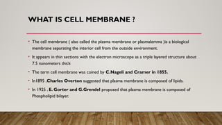 WHAT IS CELL MEMBRANE ?
• The cell membrane ( also called the plasma membrane or plasmalemma )is a biological
membrane separating the interior cell from the outside environment.
• It appears in thin sections with the electron microscope as a triple layered structure about
7.5 nanometers thick
• The term cell membrane was coined by C.Nageli and Cramer in 1855.
• In1895 ,Charles Overton suggested that plasma membrane is composed of lipids.
• In 1925 , E. Gorter and G.Grendel proposed that plasma membrane is composed of
Phospholipid bilayer.
 
